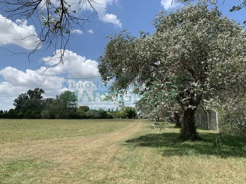 Imagen 9 de 13 de Terreno En Venta En Club De Campo La Ranita