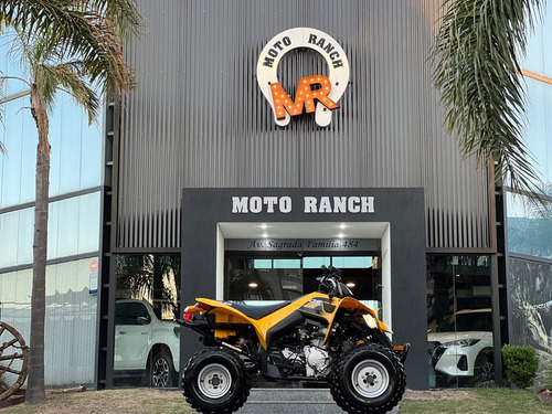 Imagen 9 de 11 de Can-am Ds 250 2017 Automatico 4x2, Igual A 0km !