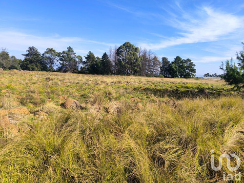Venta Terreno 0 Ambiente La Mora
