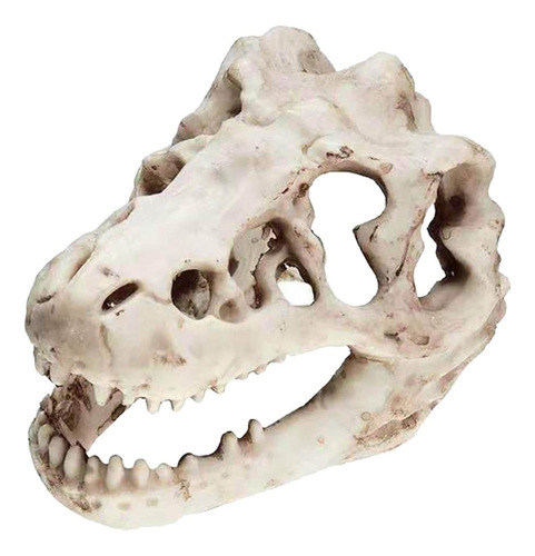 Anriy Acuario Dinosaurio Cráneo Cabeza Decoración Esqueleto