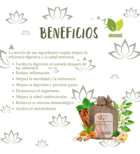 Té Orgánico Jengibre Cúrcuma Canela Cítricos Antioxidante