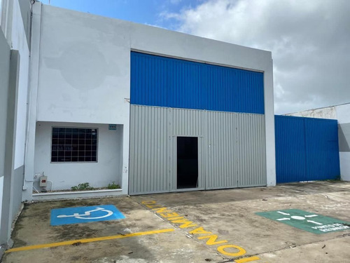 Imagen 3 de 14 de Bodega En Renta Sobre Avenida Jacinto Canek En El Fraccionam