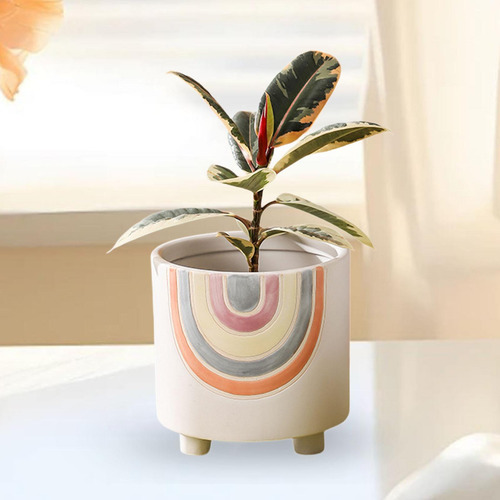 Maceta De Vivero Para , Maceta Ligera Para Bonsái, Pequeño
