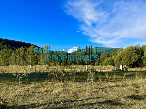 Imagen 14 de 17 de Venta Lote 850 M2 En Callejón De Gins Gins - San Martin De Los Andes