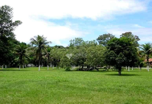 Imagem 6 de 17 de Terreno À Venda, 1001 M² Por R$ 290.000,00 - Piratininga - Niterói/rj - Te2694