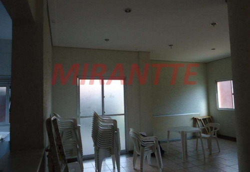 Imagem 11 de 11 de Apartamento Em Pirituba - São Paulo, Sp - 371348