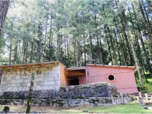 Imagen 8 de 12 de Terreno En Venta Mineral Del Monte Centro