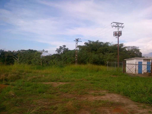 Terreno En Urbanización Carrizal, Avenida Bolívar. Bejuma. T28