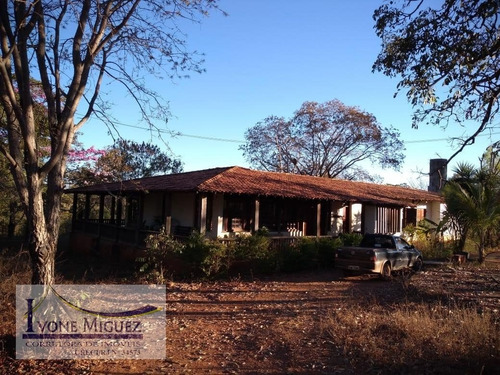 Imagem 1 de 15 de Fazenda Em Centro - Engenheiro Navarro - 2969
