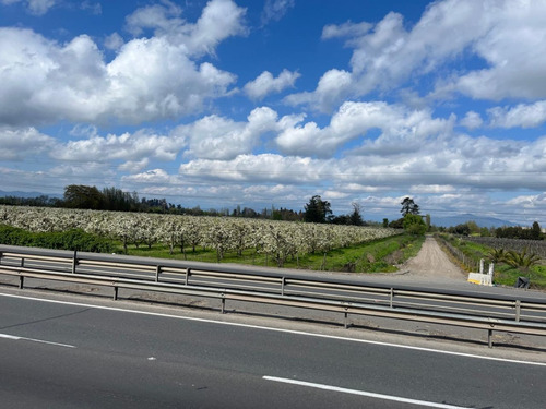 Vendo 12,4 H Vereda Oriente 5 Sur- 440 M Frente. Curico.