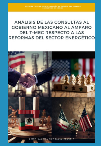 Libro: Análisis De Las Consultas Al Gobierno Mexicano Al Del