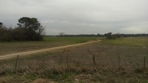 Lote En Venta - Buen Ayre Sobre Autopista Pte. Perón Y Av. Patricios