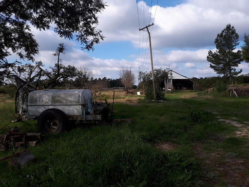 Imagen 6 de 17 de Quinta Cítrica En Cnia Argentina - Federación