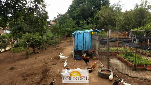 Imagem 6 de 12 de Chácara À Venda No Bairro Centro - Pinhalzinho/sp - 0189