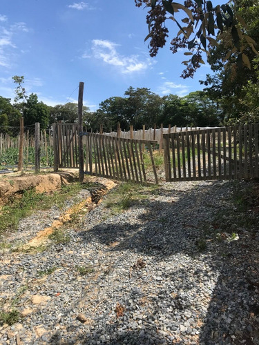 Chacara, 3.272 Mt, Com Duas Estufas E Poço Artesiano.