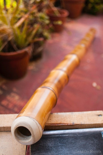 Imagen 9 de 10 de Didgeridoo De Caña - Armonización - Lyo Didgeridoo