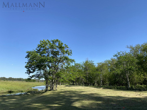 Venta Lote En Estancia Carabassa