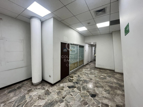 Gran Local Comercial En Calle Bandera