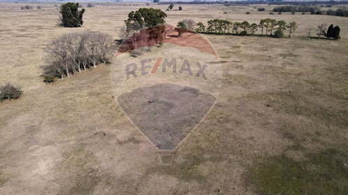 Imagen 2 de 13 de Campo 157 Hcts En Venta San Vicente P/desarrollo