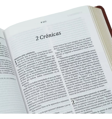 Biblia Nueva Traducción Viviente Simil Piel Café