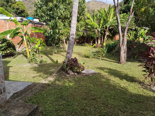 Vendo Terreno 864mts2 R4 Con Bienhechuría, Mbi El Limón, Maracay.