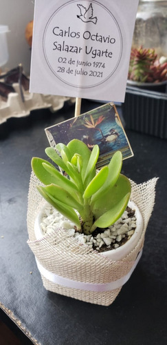 Imagen 1 de 6 de Cactus Y Suculentas Personalizadas, Recuerdos, Detalles