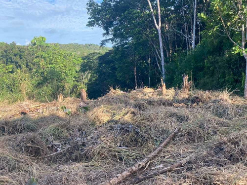 Fazenda Cachoeira 70ha Próxima Do Asfalto 30min Do Mar/praia