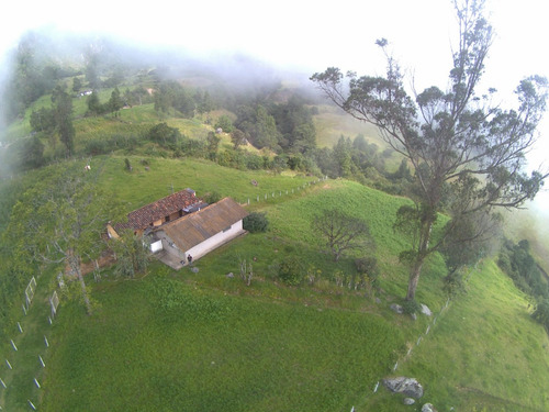 Imagen 2 de 8 de Vendo Finca En Yacudel, Area 21330 M2 Con Casa De Campo