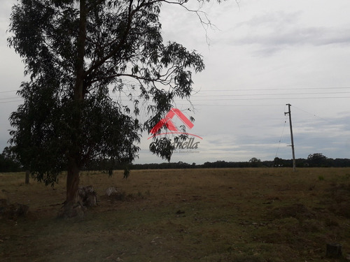 Chacra De 8 Hás En Venta!- Ref: 1701