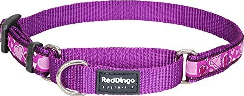 Collar Para Perro Red Dingo Martingale, Love Purple