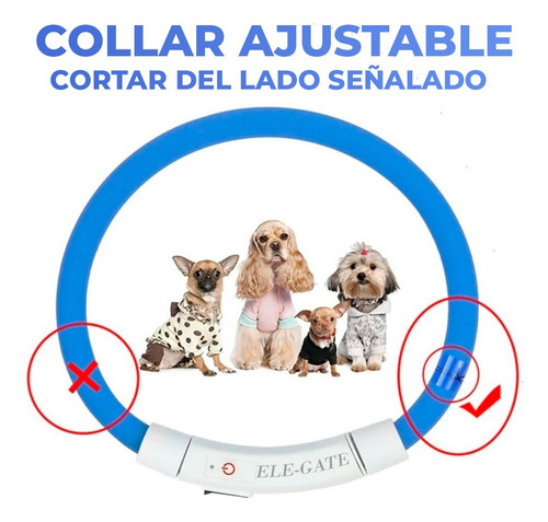 Collar De Perro Con Luz Led Recargable Usb Talla M Ele-gate