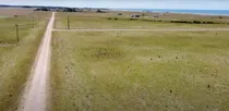 Comprar Venta Lote De Terrenos En San Bernardo, Pueblo Nuevo Rocha