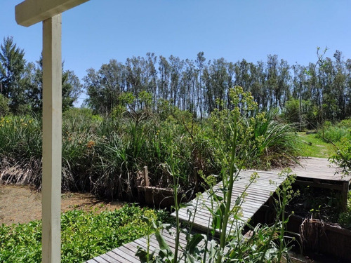 Imagen 15 de 19 de Lote 7 En Tierra Y Casa Flotante En Econáutico Hipocampo