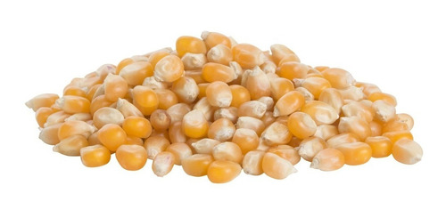 Imagem 1 de 3 de Sementes De Milho-pipoca Americano 