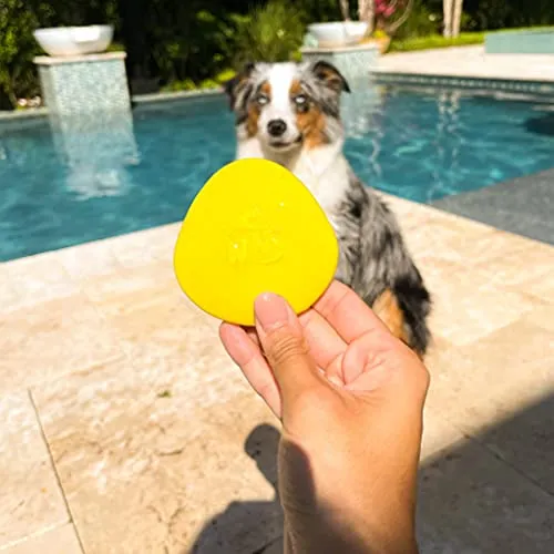 Juguetes Para Perros Skip Nn Fetch | Stonne Skipping Se Encu