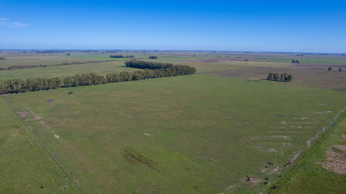 Campo En Venta Mixto 188ha San Andres De Giles
