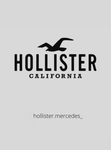 Remera Hollister Original Casual Lisa Logo Básica Importada