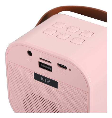 Altavoz Portátil, Micrófono Inalámbrico, Máquina De Karaoke