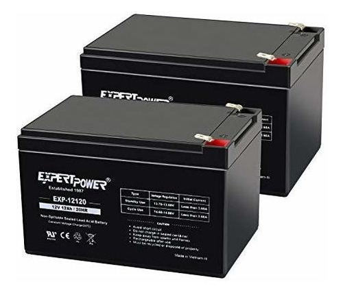 Paquete De 2 Baterías Recargables Expertpower De 12 Voltios 