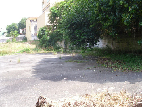 Terreno Para Aluguel, Valparaíso - Santo André/sp - 7033
