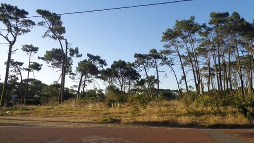 Imagen 6 de 15 de Lote | Bvrd, Artigas 1888