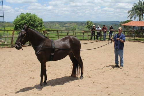 Charreteador Para Doma Profissional