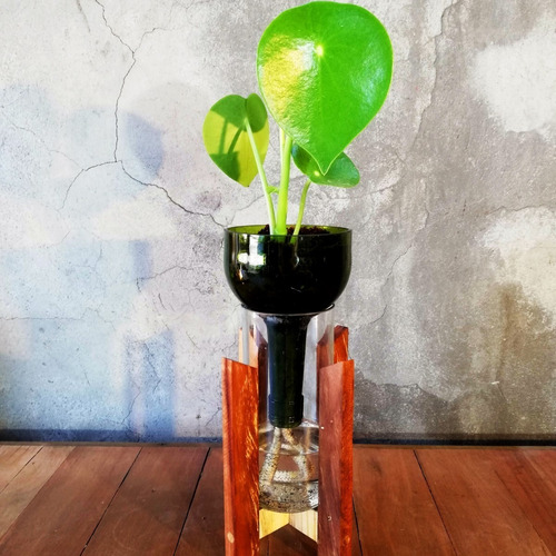 Cuchara Little Plant 24 Con Soporte, Maceta Autorregante