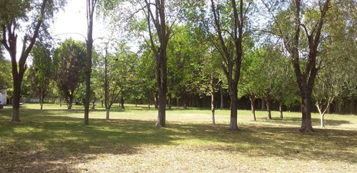 Imagen 2 de 10 de Venta De Quinta - Zona Fcio. Varela, Pasaje La Carolina
