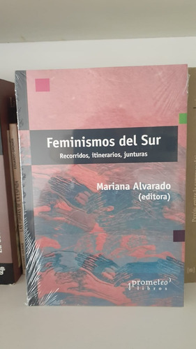 Feminismos Del Sur - Alvarado Mariana