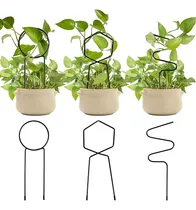 Comprar Soporte Metálico Para Plantas Trepadoras, 3 Unidades