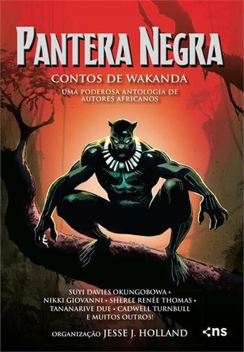 Pantera Negra: Contos De Wakanda - Uma Poderosa Antologia De Autores Africanos - 1ªed.(2022), De Jesse J. Holland Holland. Editora Novo Século, Capa Mole, Edição 1 Em Português, 2022