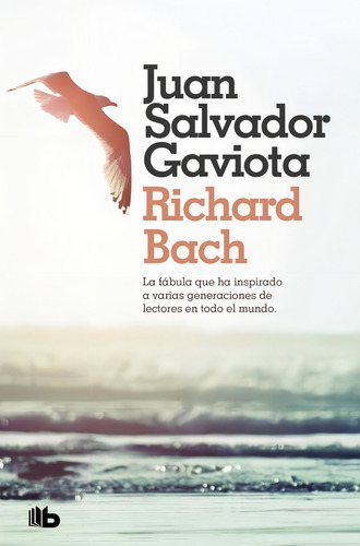 Libro: Juan Salvador Gaviota / Richard Bach