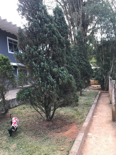 Imagem 5 de 13 de Linda Chácara Cercada E Com Árvores Frutíferas Cód 444