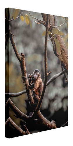Cuadro Mono Pequeño En Ramas De Árbol Animales 80x120